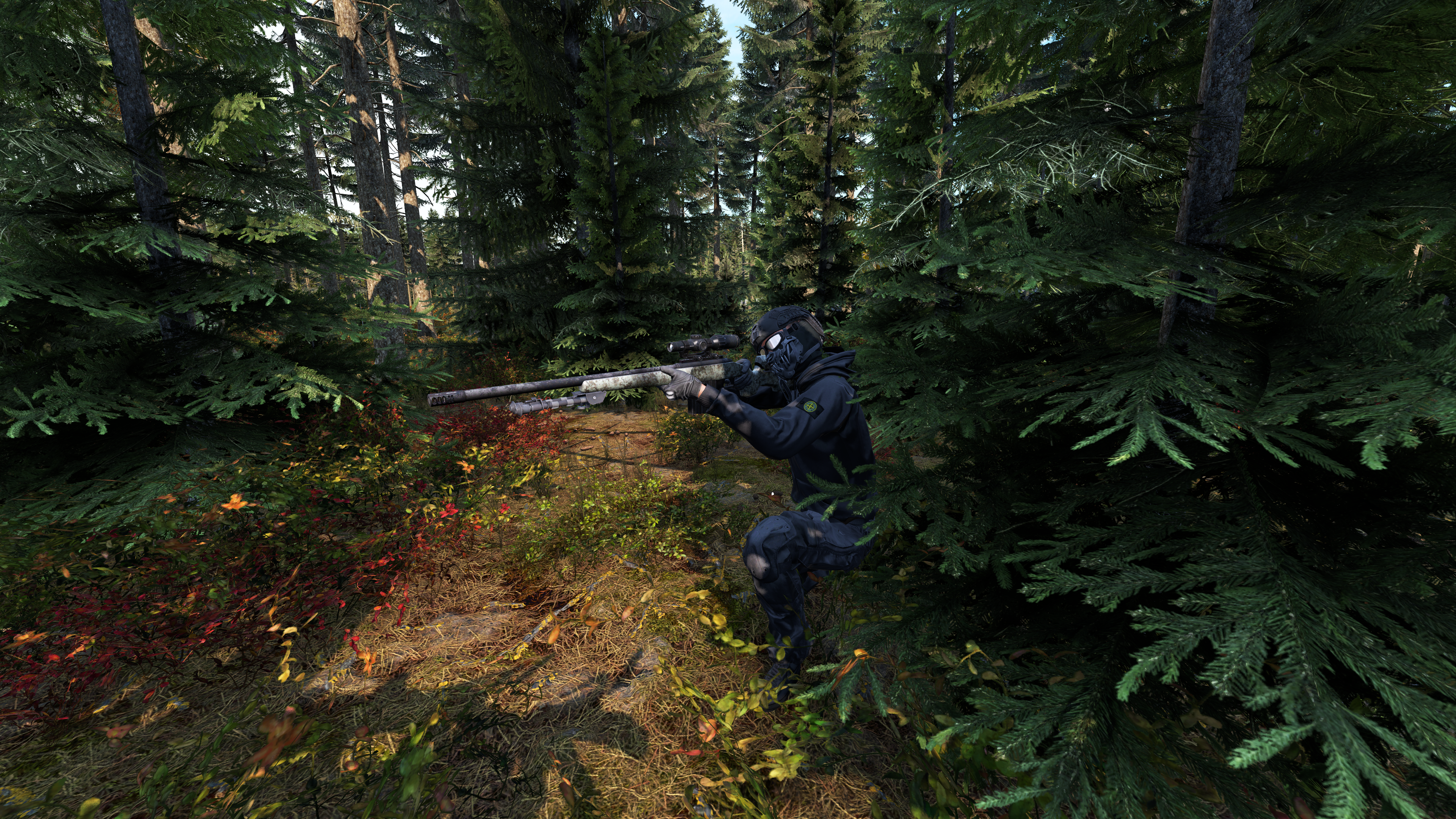 Akce v lesích u Tisy Military